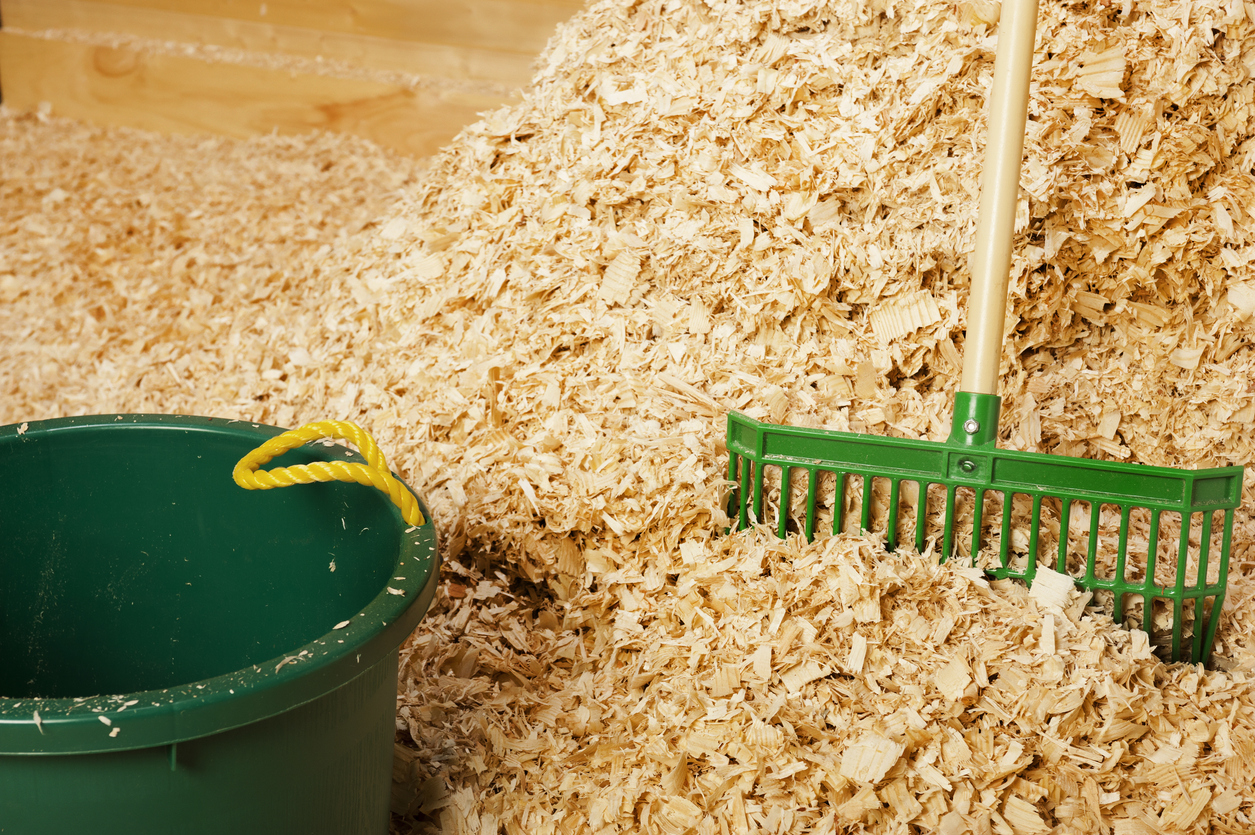 A pile of bulk wood shavings for the animal bedding  with manure fork and bucket in a barn.